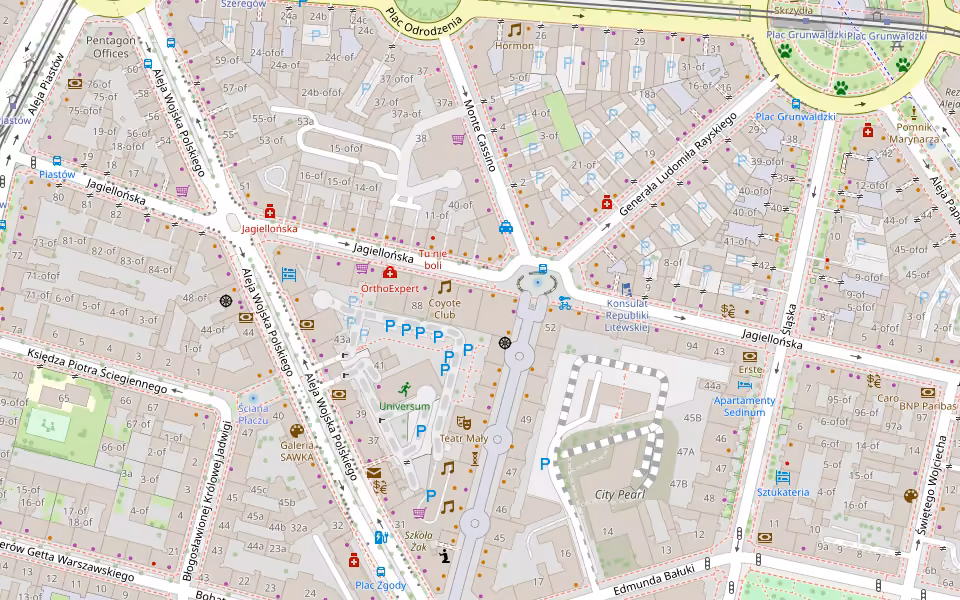 Mapa: Epicka, ul. Księcia Bogusława X 1 w Szczecinie